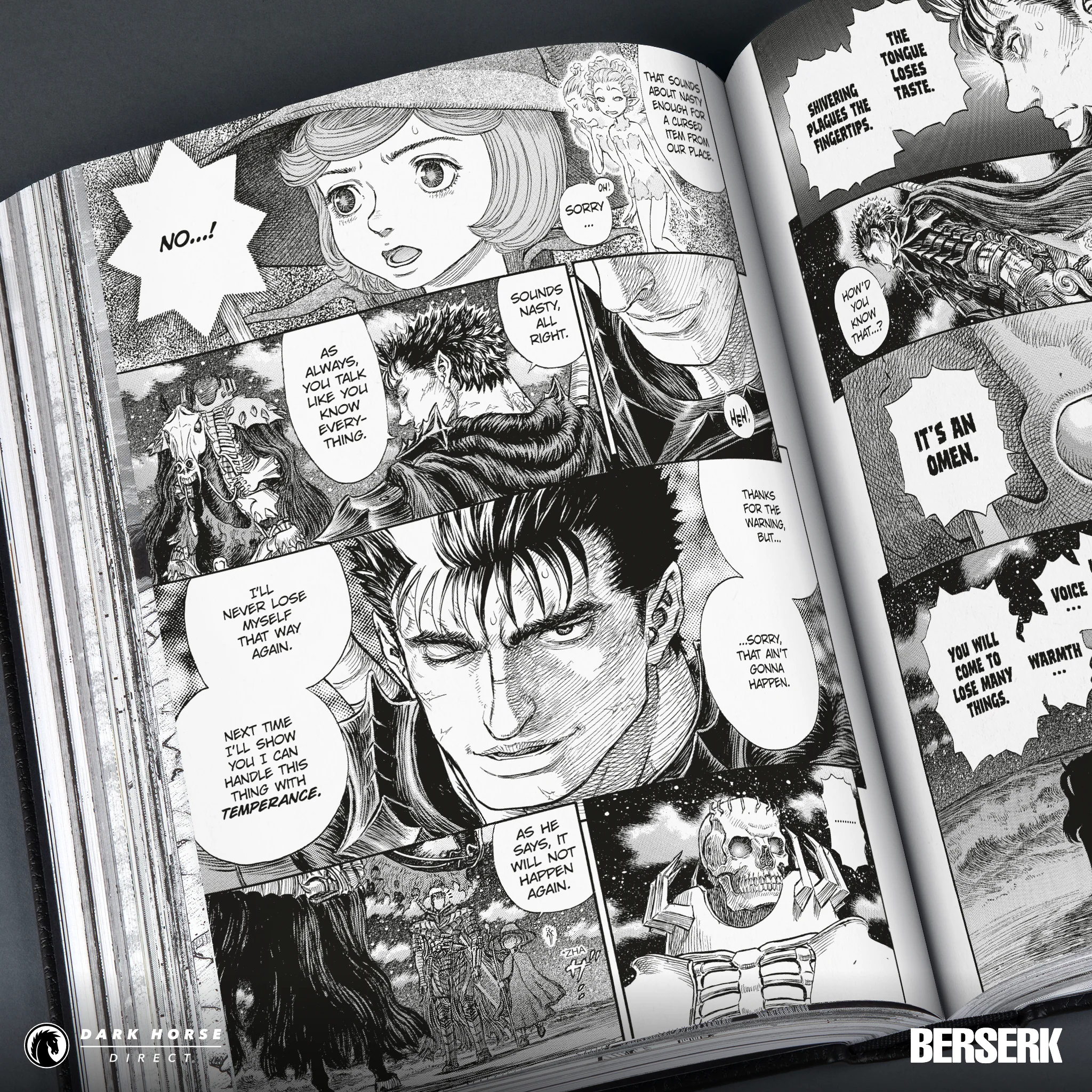 Berserk Deluxe Hardcover Volumes - Image 6