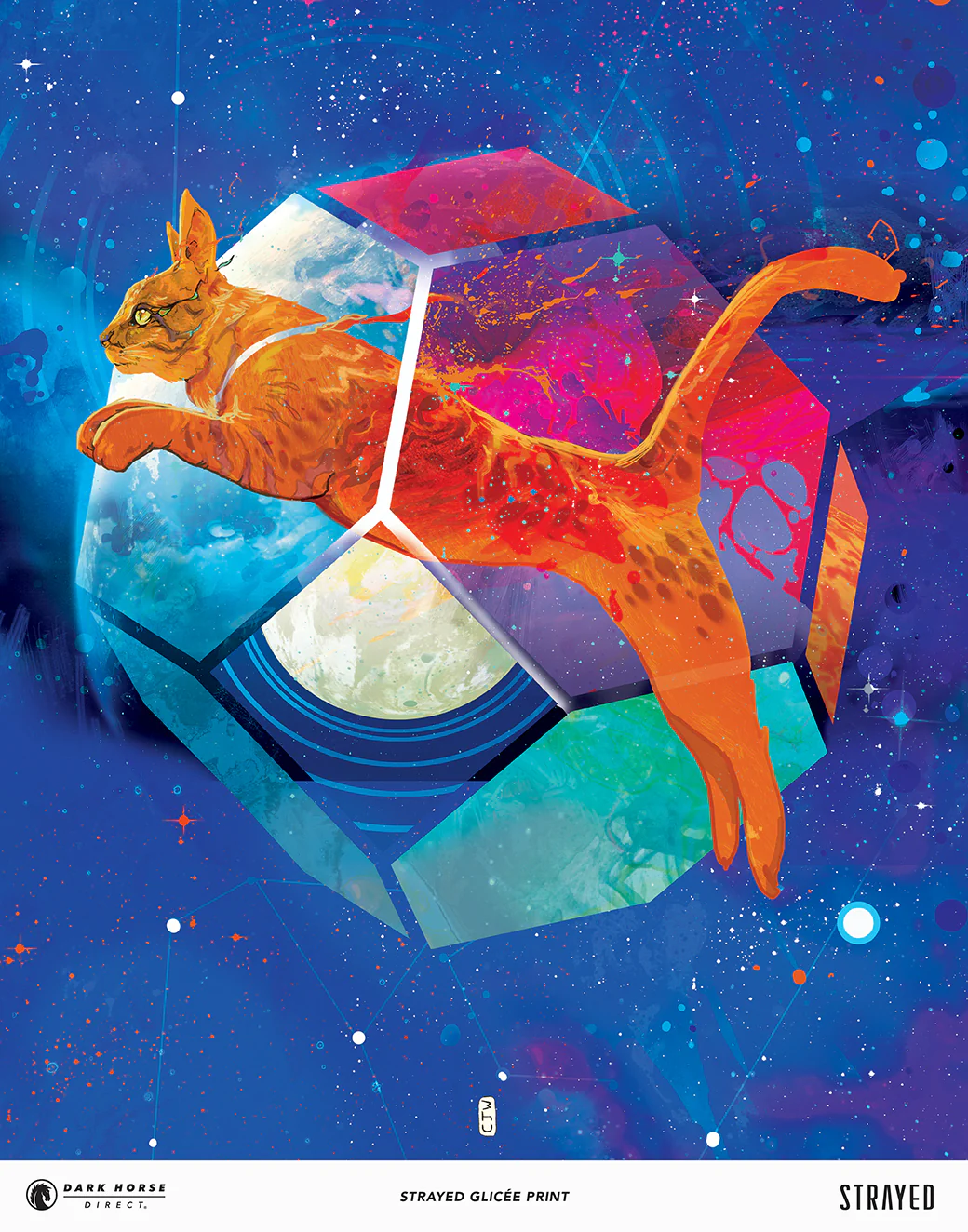Strayed #1 Exclusive Variant Comic Bundle - Image 4